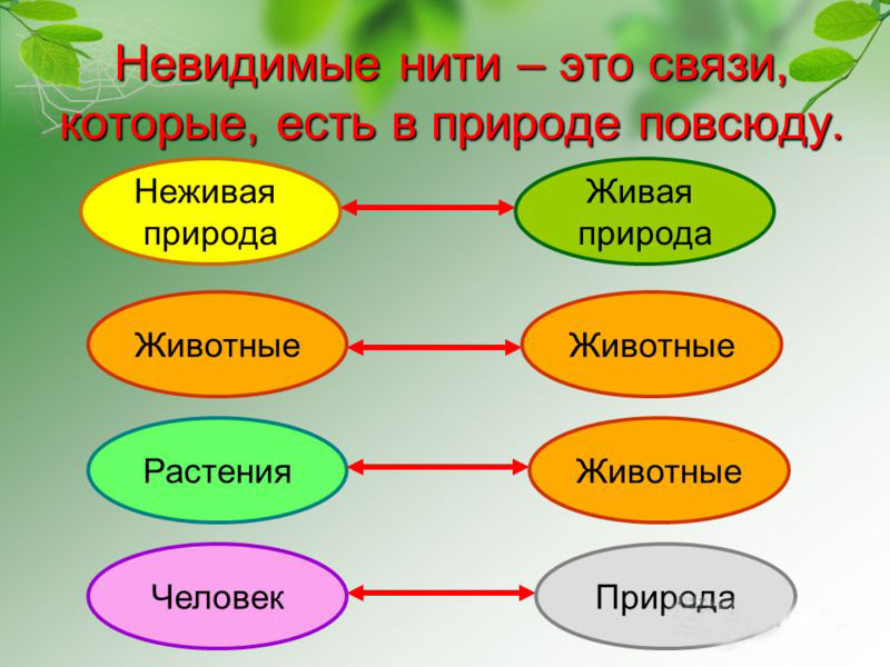 Реферат: Колебательные химические реакции - как пример самоорганизации в неживой природе